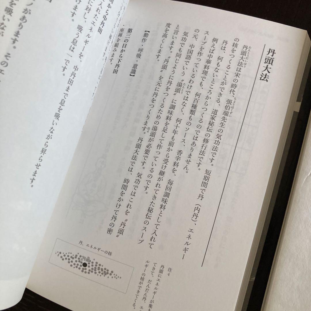 【セット】秘伝奥義集大成 + 気功奥義解説書　盛鶴延