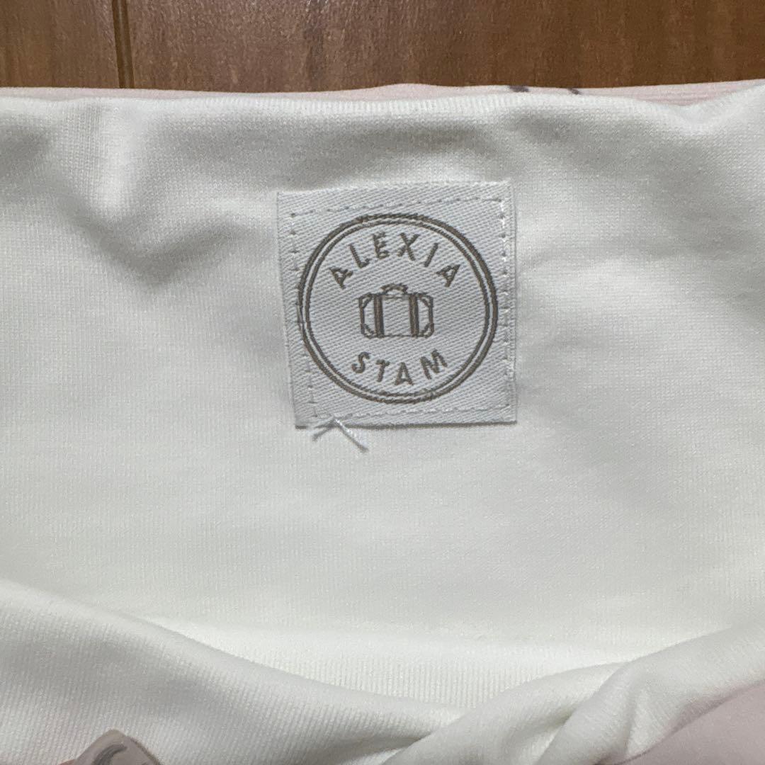 ALEXIA STAM パームツリー セパレート水着